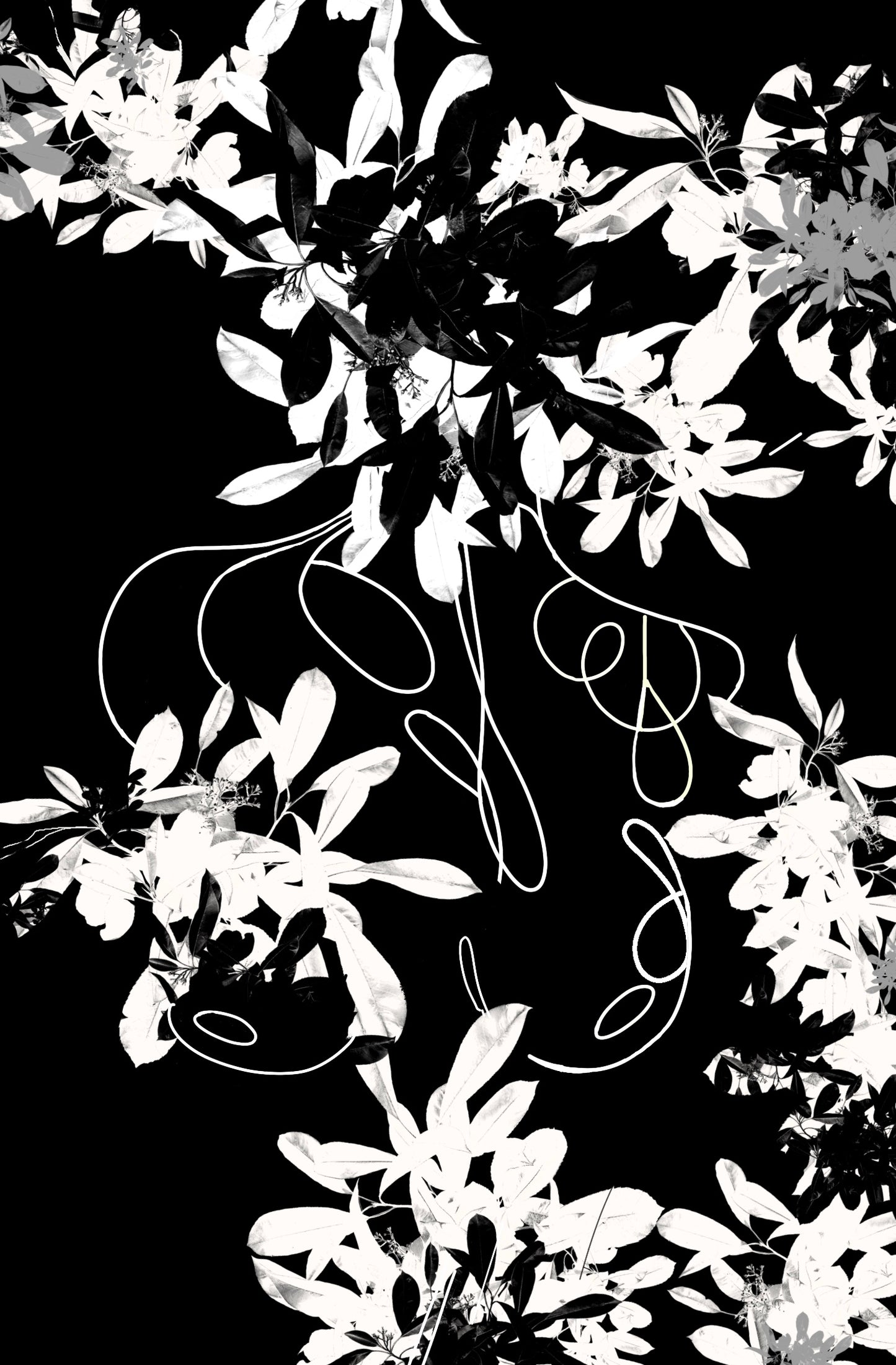 Whispers In Bloom (Multimedia Print)