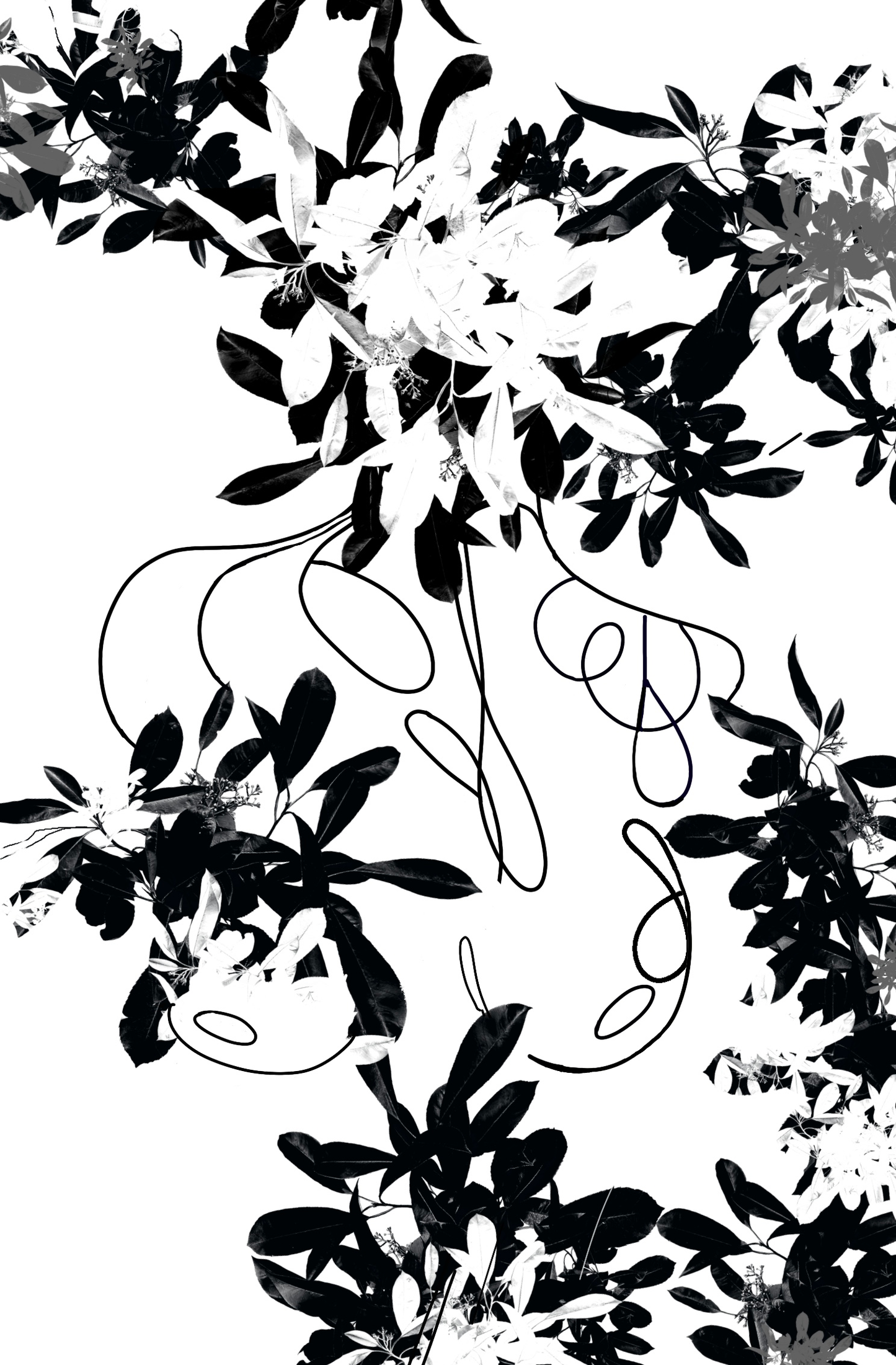 Whispers In Bloom (White Print)
